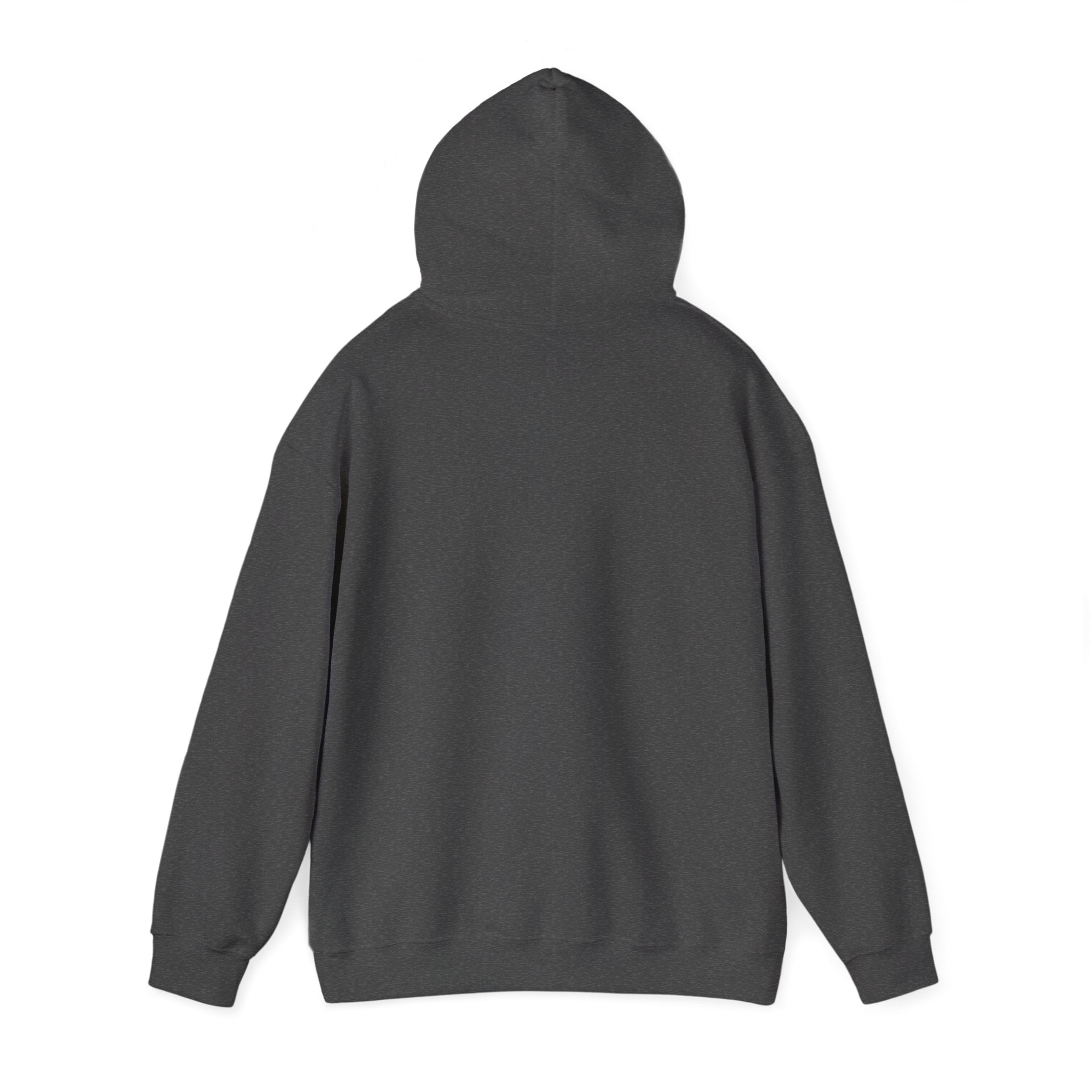 2 Boys Coffee Hoodie